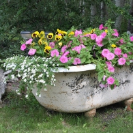 старая ванна для посадки растений